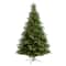 9ft. Pre-Lit North Carolina Spruce Artificial Christmas Tree, Clear LED Lights
